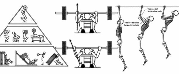 disegni project strength