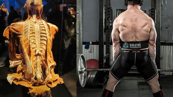 Mal di schiena ed allenamento