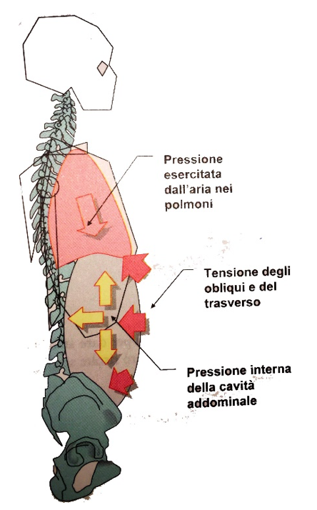 Cervicalgia E Allenamento In Palestra - Ticinonline - Foto 7