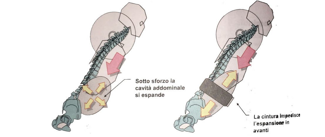 moda qualità imbattuto x Cintura per il sollevamento pesi, qual è il suo corretto utilizzo ... moda qualità imbattuto x Cintura per il sollevamento pesi, qual è il suo corretto utilizzo ...