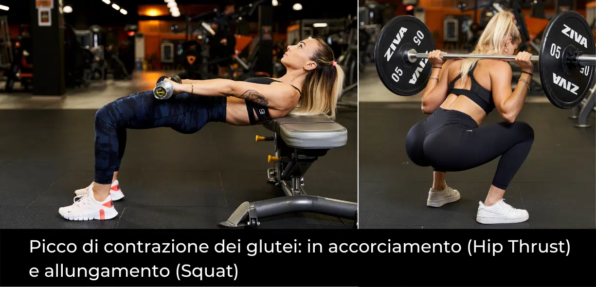 come sviluppare i glutei
