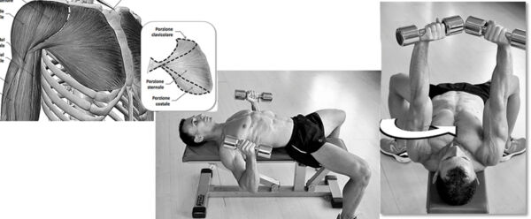 Project Exercise Vol 1