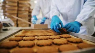 cibi processati