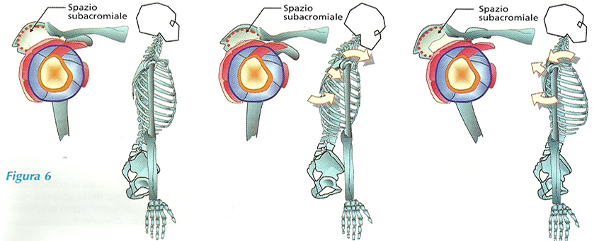 spazio sub acromiale