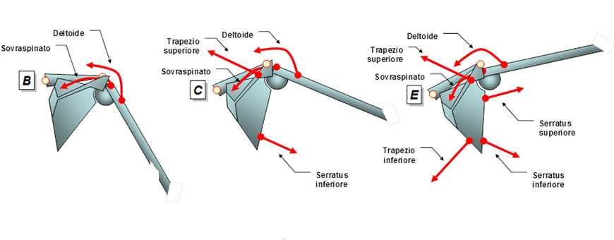 ritmo scapolo omorale