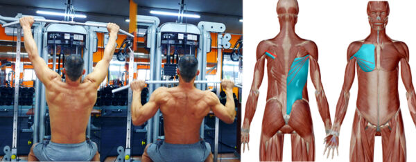 Lat Machine Presa Stretta Muscoli Coinvolti