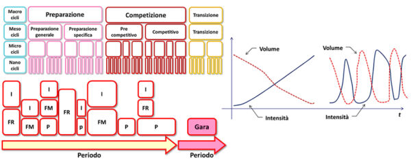 Programmazione crossfit