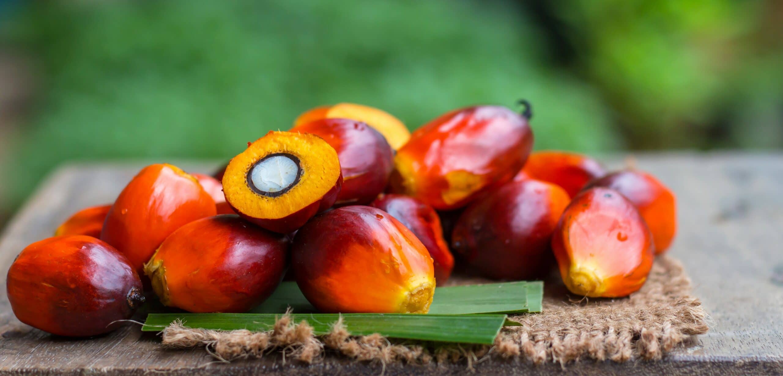 olio di palma fa male alla salute