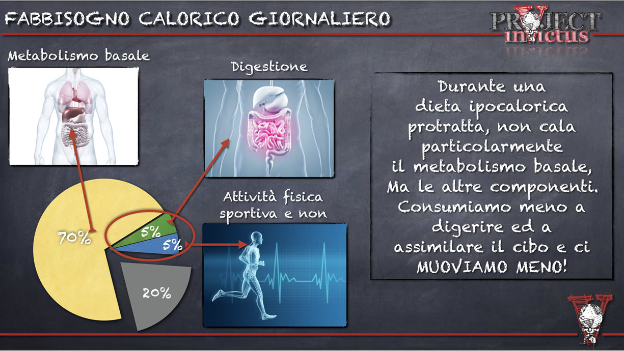 fabbisogno calorico giornaliero durante la dieta