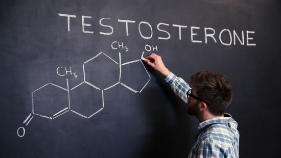 Testosterone: la guida a questo ormone