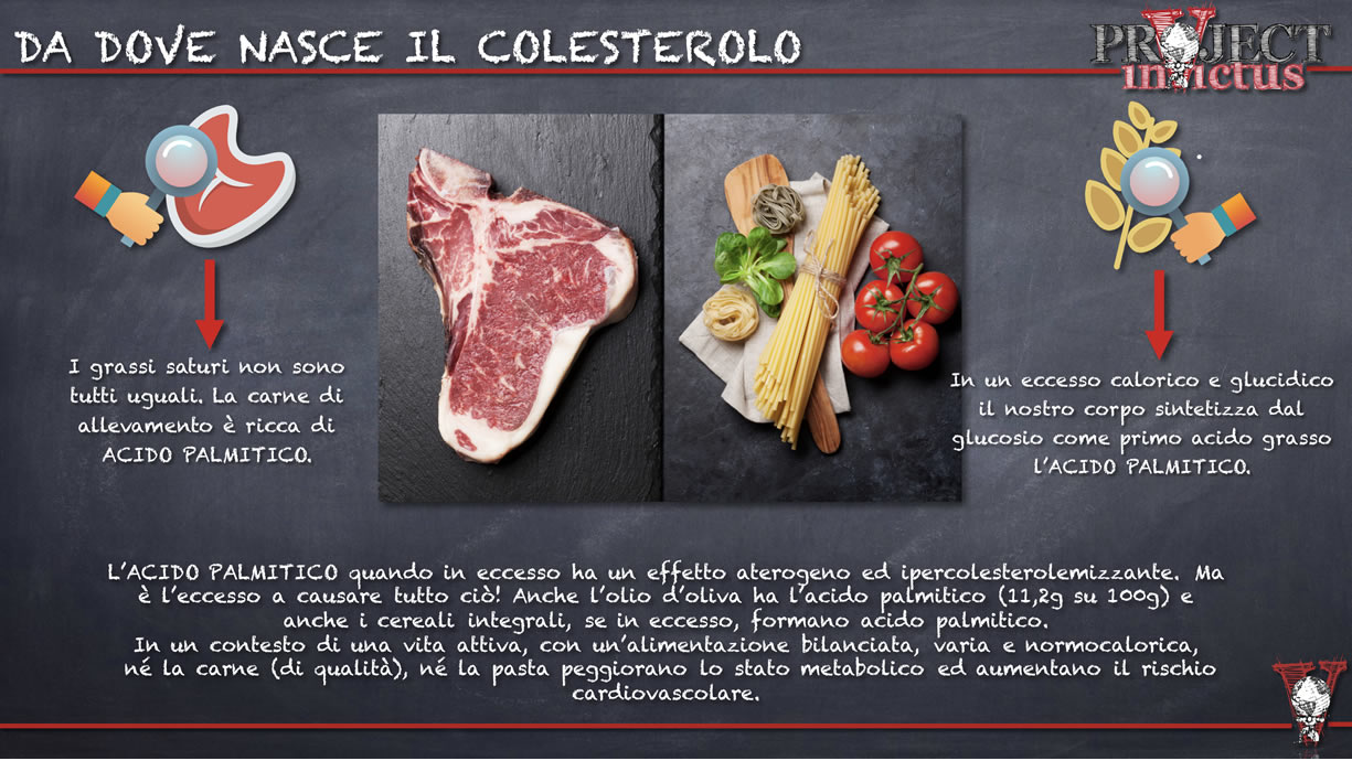 da dove nasce il colesterolo