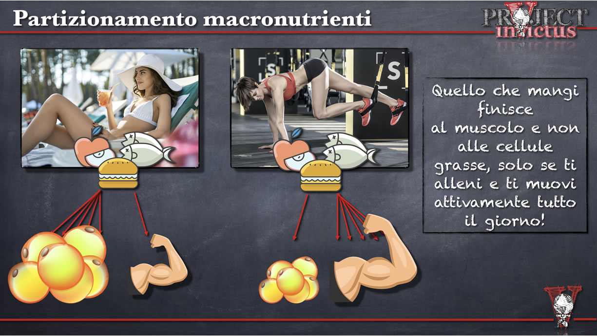 partizionamento dei macronutrienti