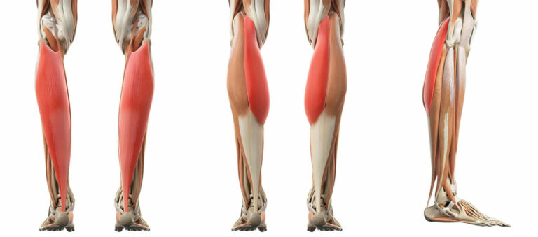 Mueller Tutore Multi-Direzionale Per Polpacci - Fascia Regolabile Con Parastinchi - Compressione In Neoprene Per Supporto Muscolare - 4