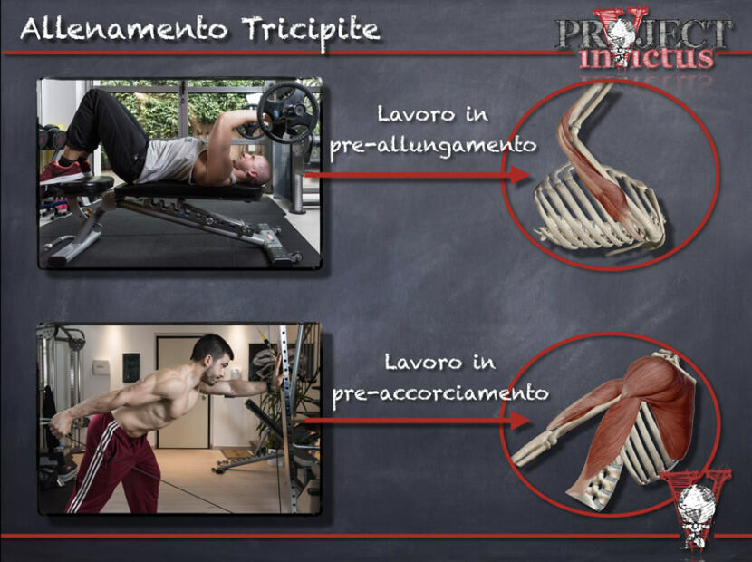 French Press: esecuzione e varianti - Project inVictus