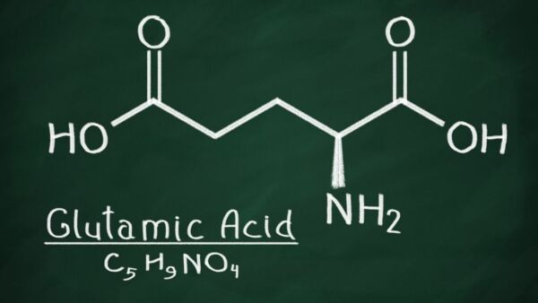 Glutammina: integrazione ed utilizzo