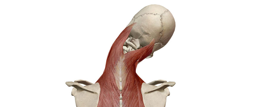 inclinazione laterale cervicale