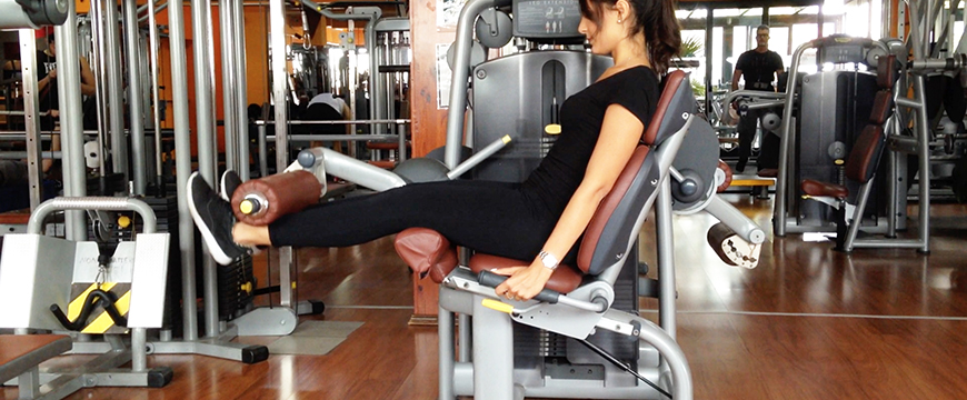 leg ext menisco