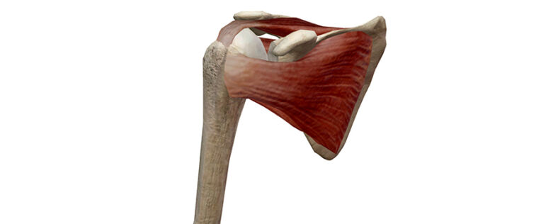 Heally, Fascia Da Braccio Per Bambini Con Spalla, Per Bambini
