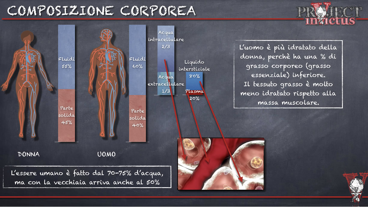 composizione corporea