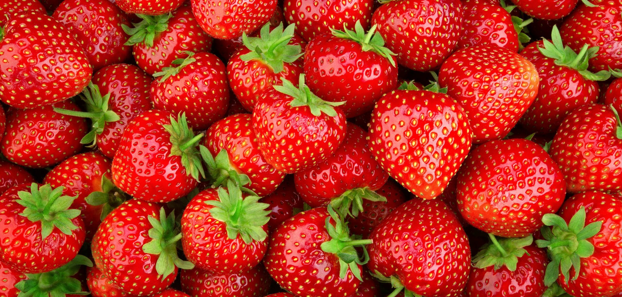 fragole benefici e valori nutrizionali nella dieta