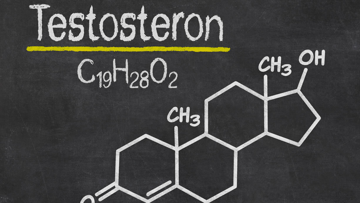 sintesi testosterone