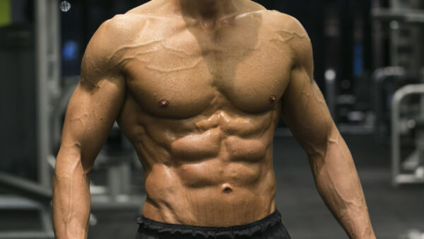 Testosterone e muscoli