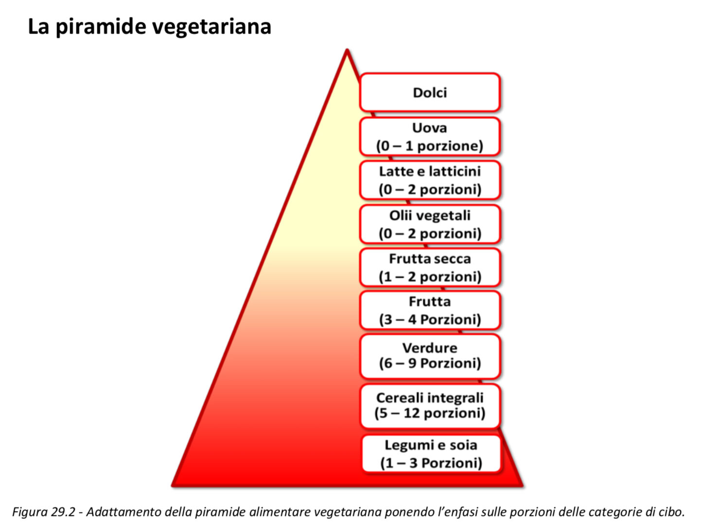 piramide dieta vegetariana