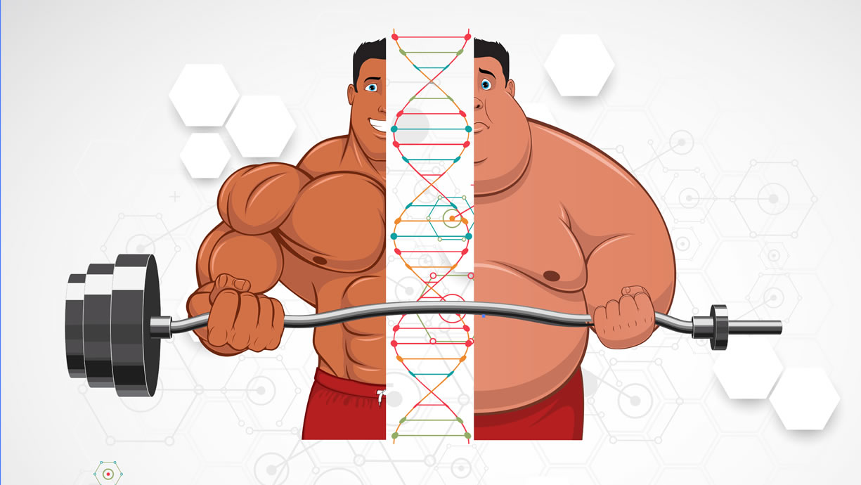 quanto conta la genetica in palestra