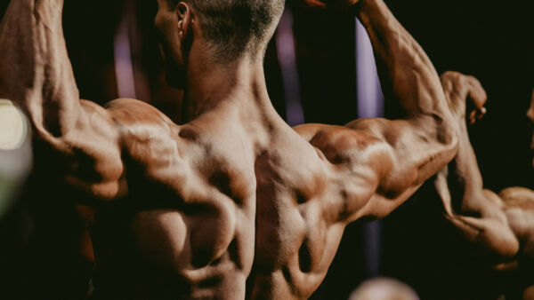 Preparazione per il bodybuilding natural: posizionamento metabolico e modelli di ciclizzazione