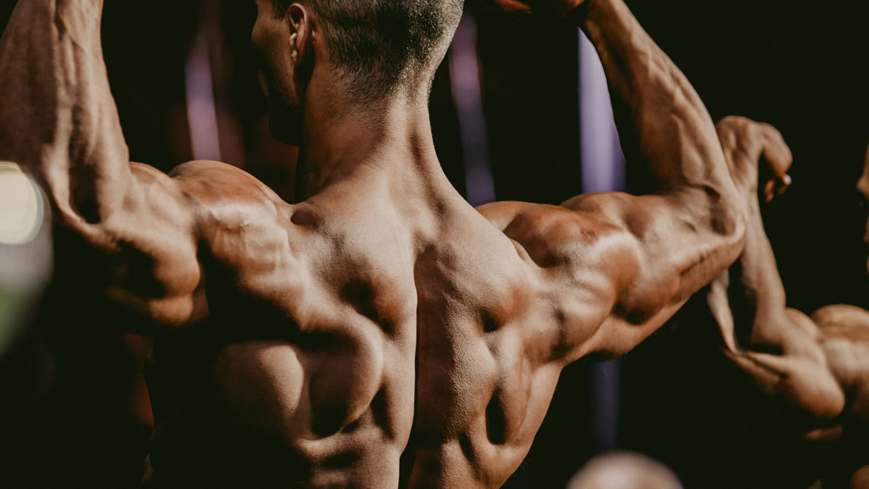 Best gare bodybuilding 2019 Android/iPhone Apps