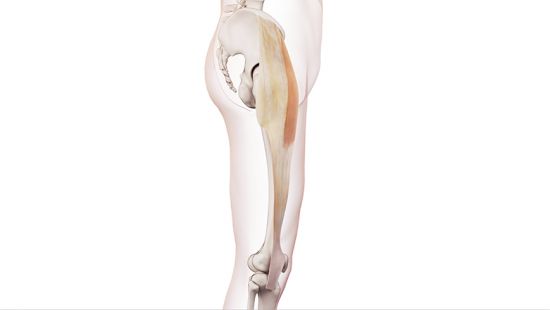 Tensore della fascia lata