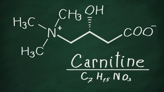 Carnitina / effetti e proprietà