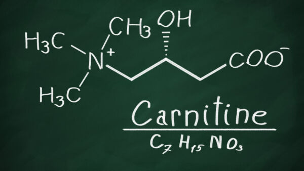 Carnitina / effetti e proprietà