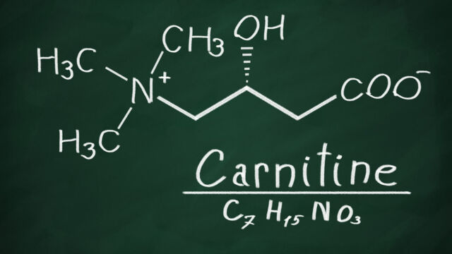 carnitina