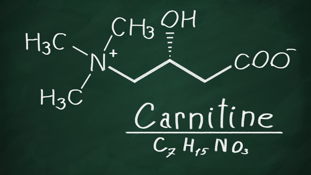 carnitina