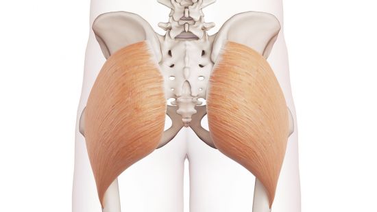 Grande gluteo