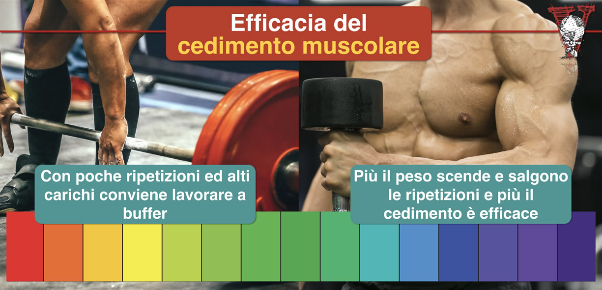 come aumentare la massa muscolare