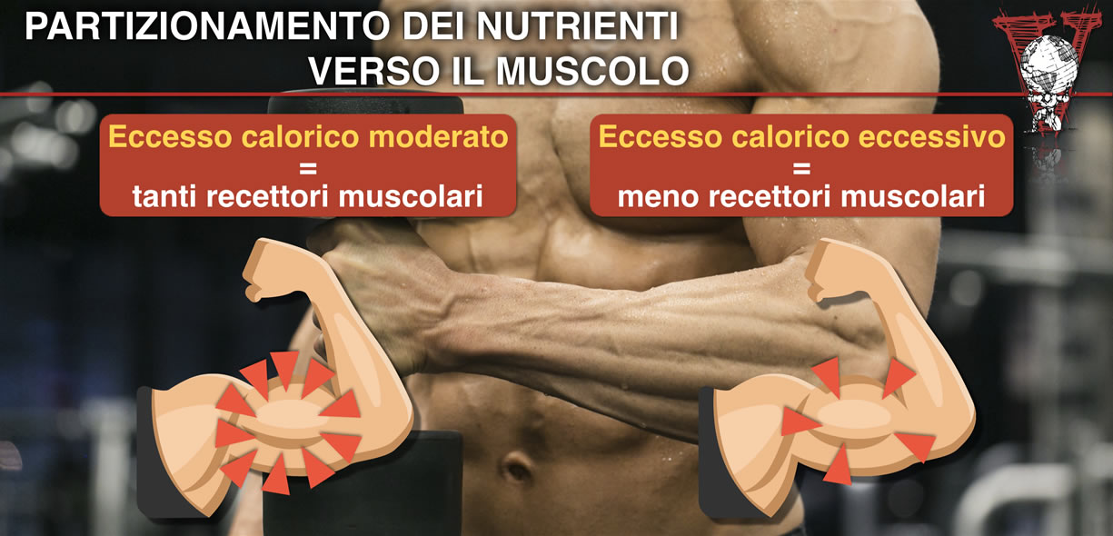 dieta per aumentare massa muscolare