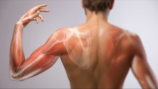 DOMS: indolenzimento muscolare a insorgenza ritardata