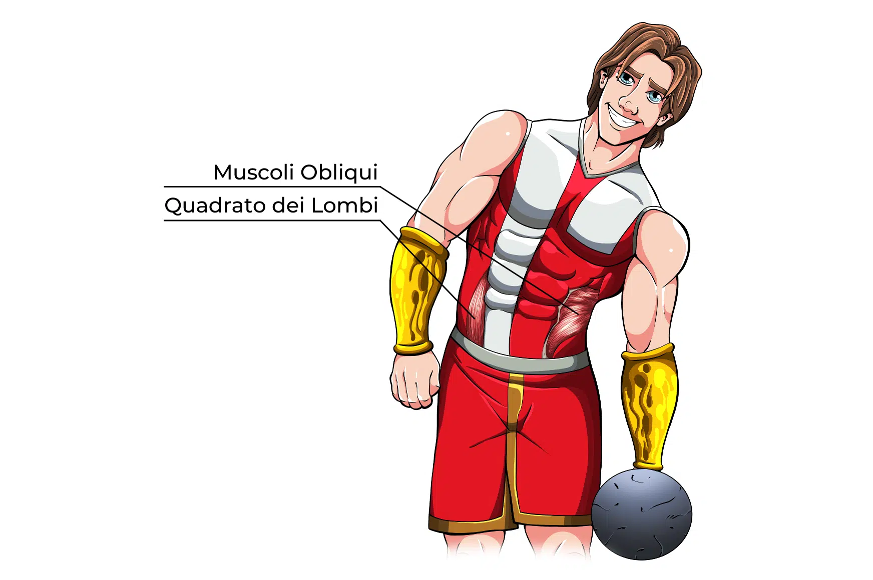 Side Bending Muscoli Coinvolti