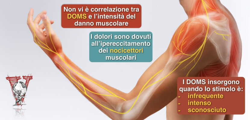 DOMS: indolenzimento muscolare a insorgenza ritardata - Project inVictus