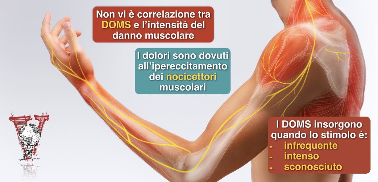 Acido lattico nei muscoli: cos'è e come si forma. Ci sono rimedi per  smaltirlo?