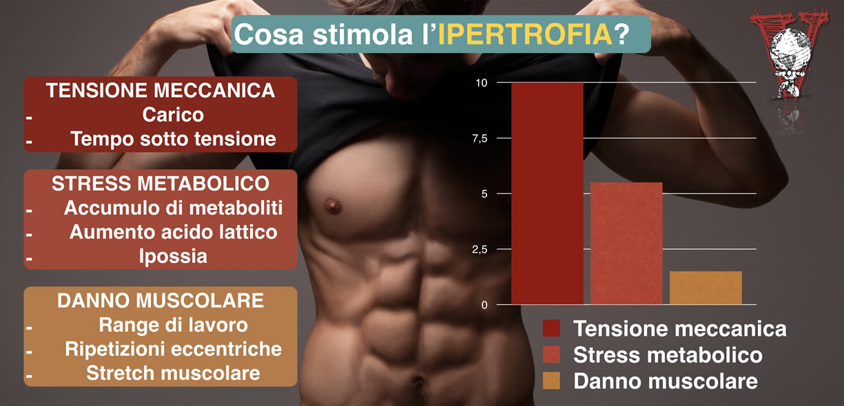 Acido Lattico o DOMS: quali sono le differenze?