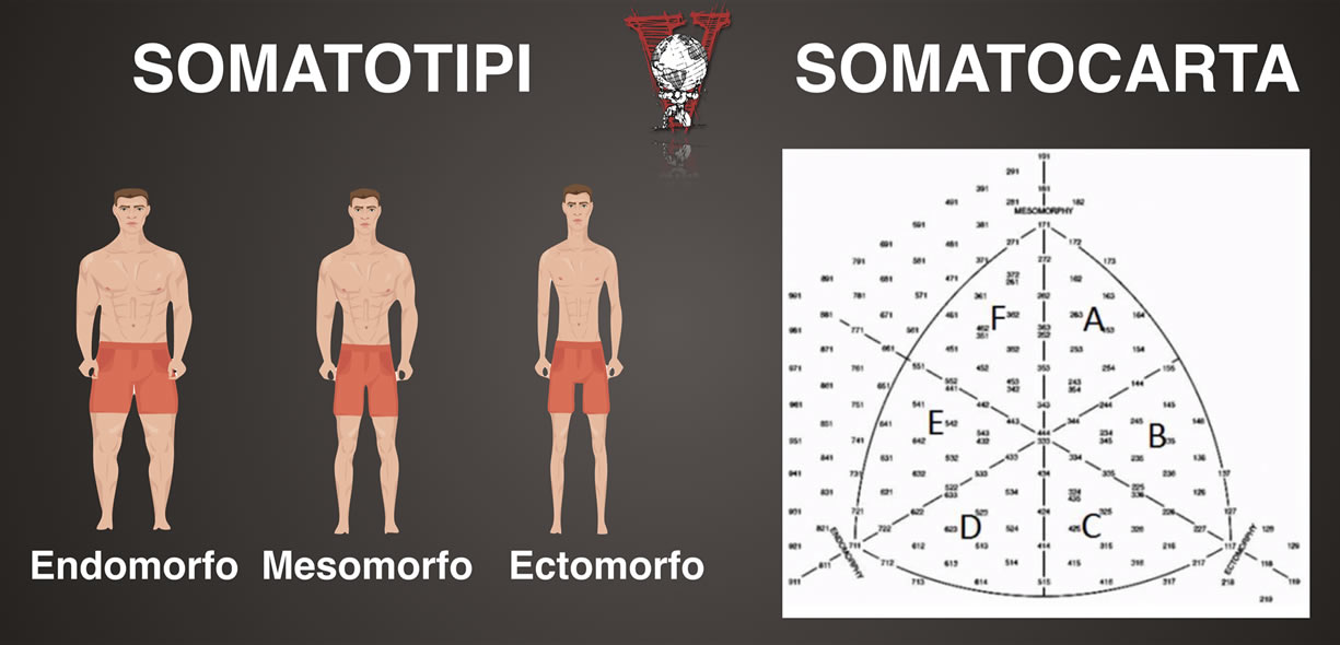 Somatotipo e somatocarta