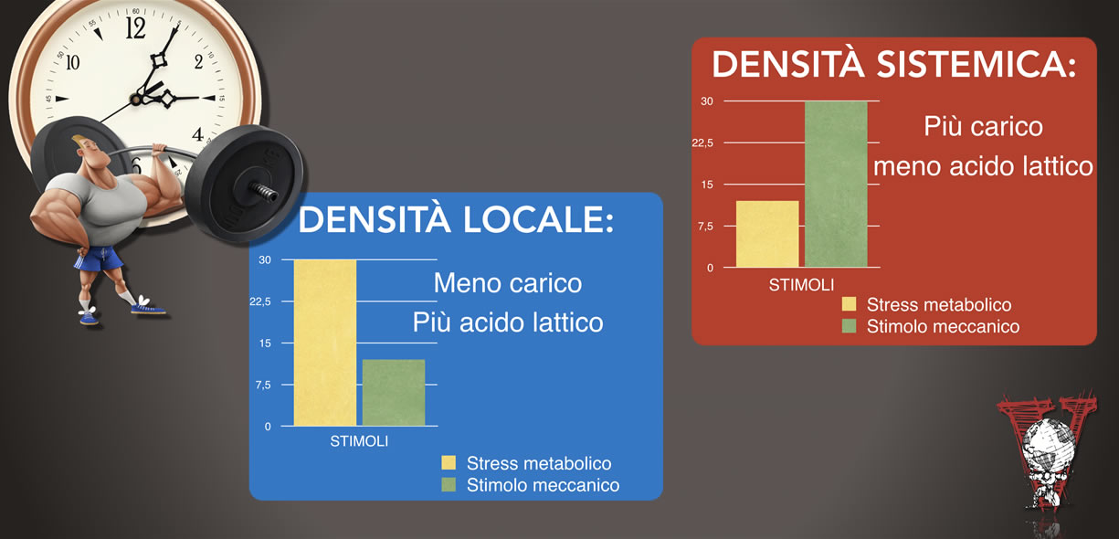 lallenamento definisce le serie di carichi dimagranti