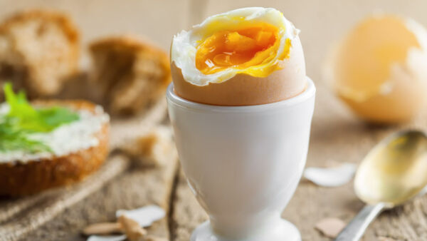 La colazione proteica: chi ben comincia…