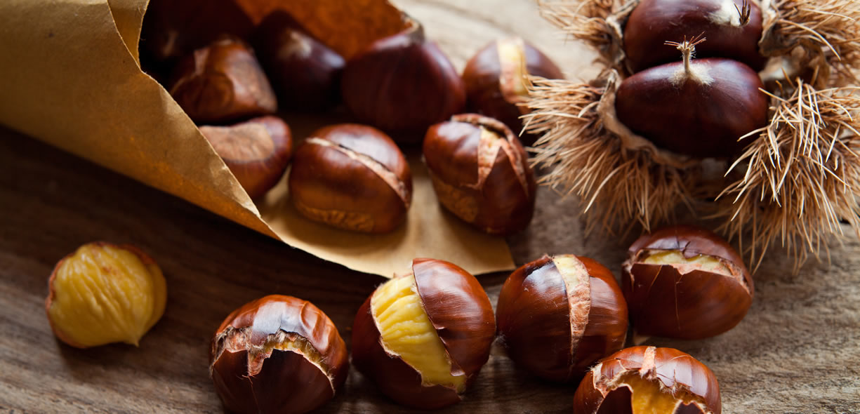 Castagne fibra insolubile