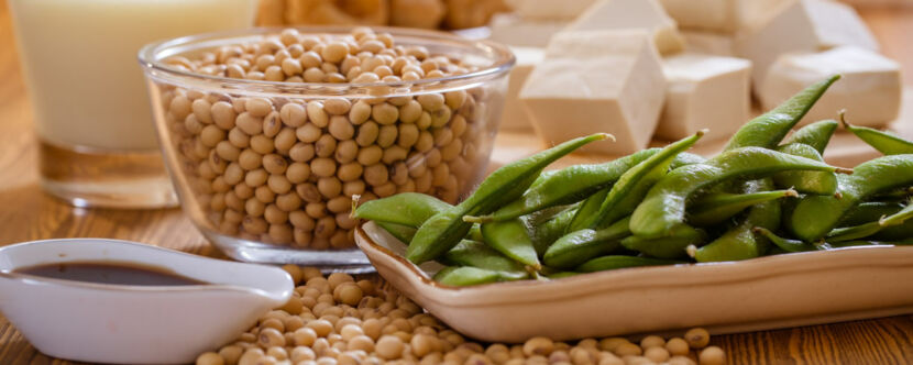 Studio Di Proteine E Dna: Come Assumere Le Proteine In Polvere (Scadute - Foto 4