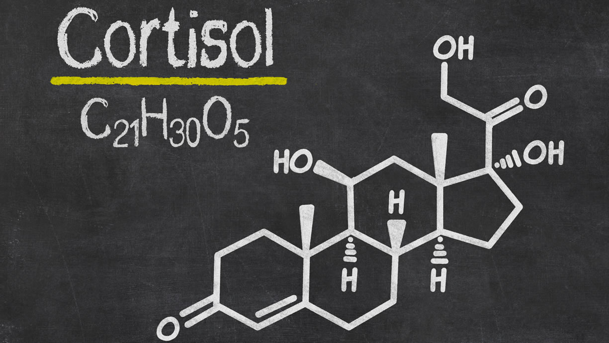 cortisolo ormone stress