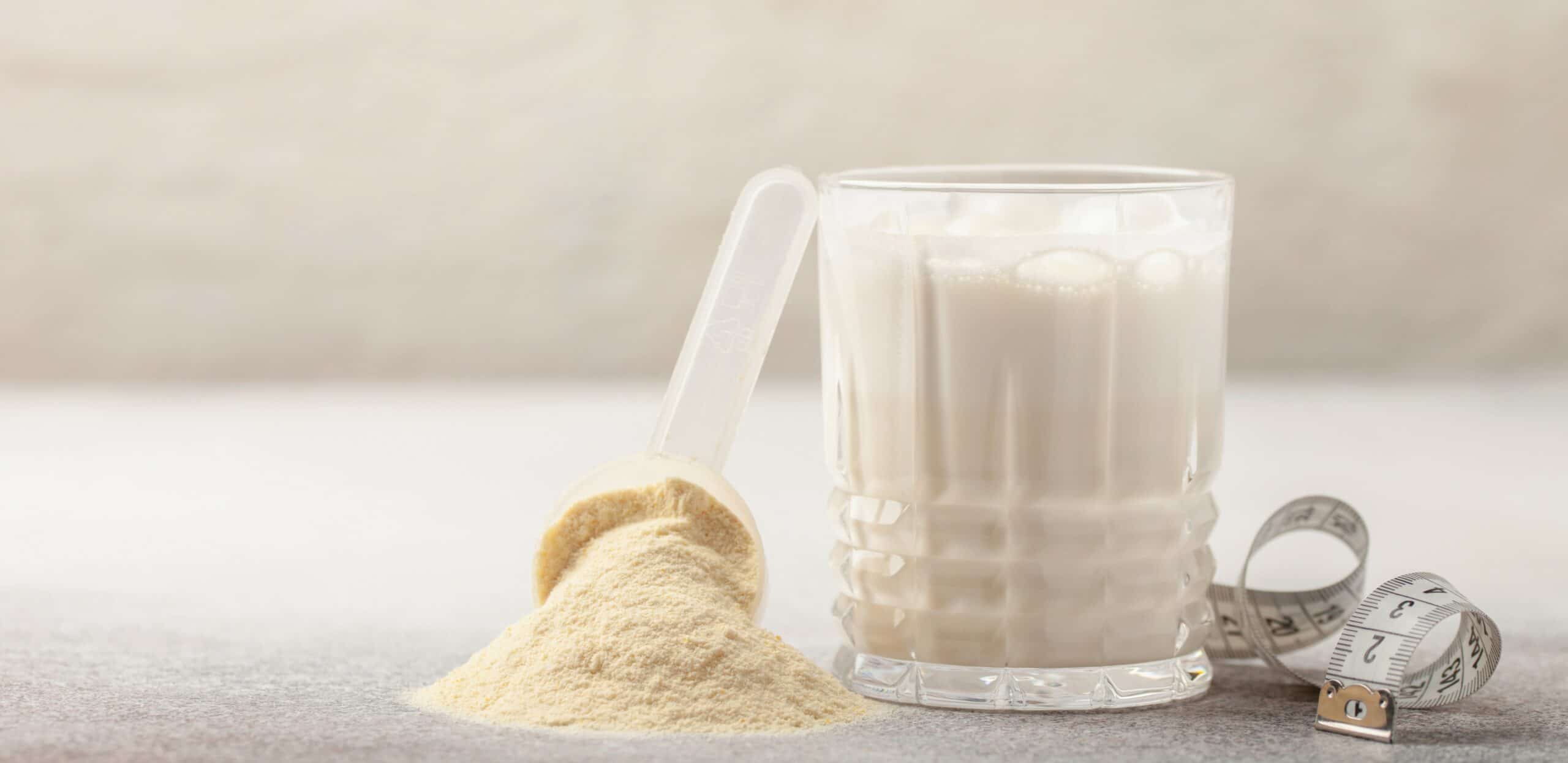 proteine in polvere del latte per la palestra